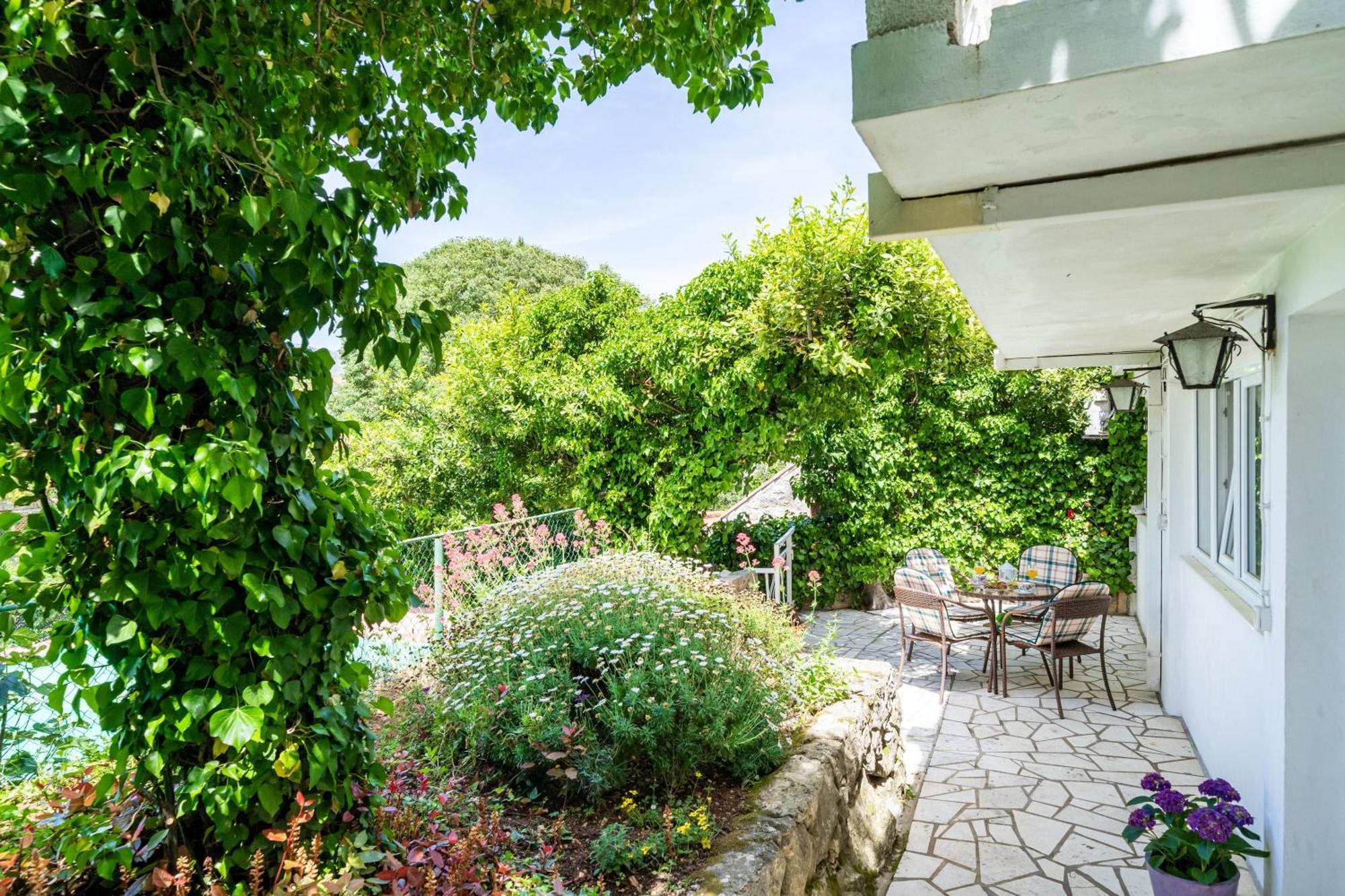 Apartments & Rooms Mara & Petrunjela Cavtat Habitación foto